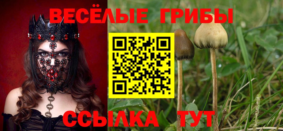 Псилоцибиновые грибы GOLDEN TEACHER Асбест